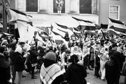 A cover image for the collection Palestine Protest 6/9/25